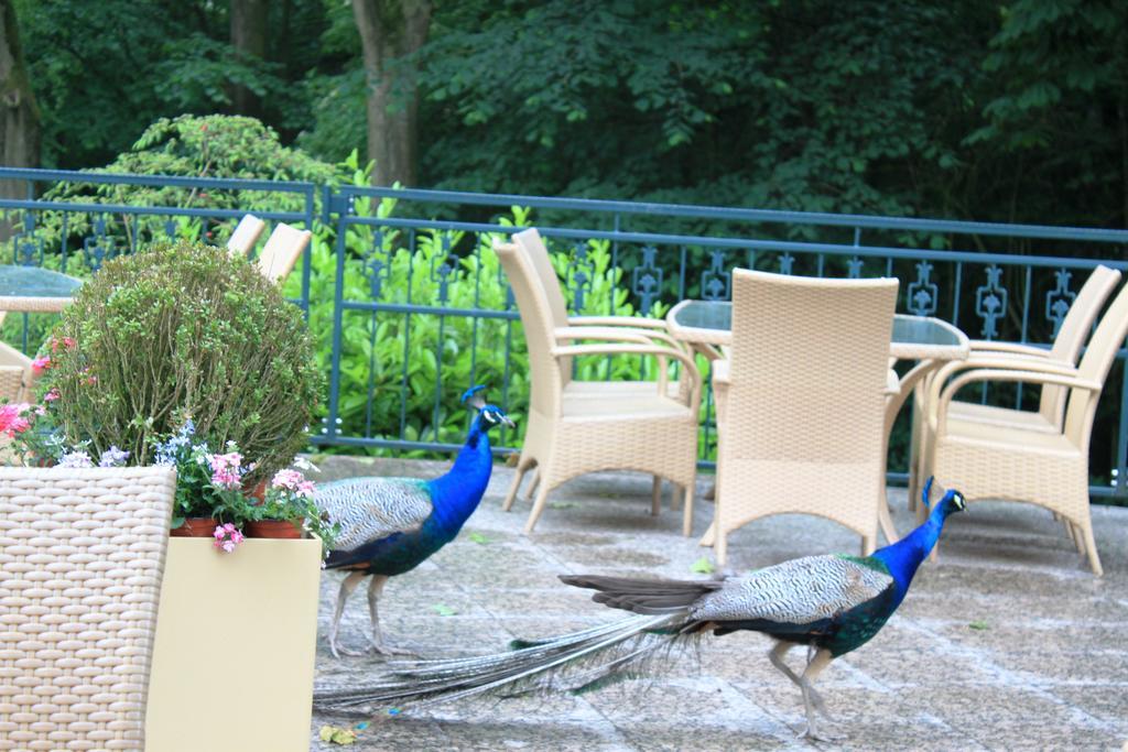 Akzent Hotel Hoxberg Beckum Zewnętrze zdjęcie